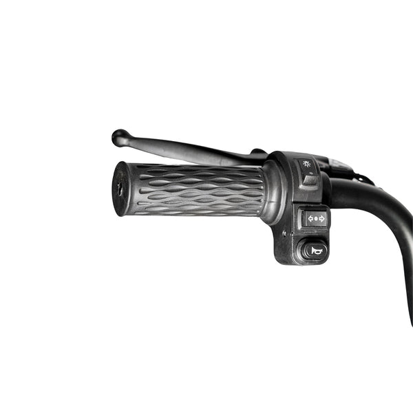 X3B motorcycle electric bike 350W 48V electric motorcycle Electric Bicycles 3 wheel motorcycle