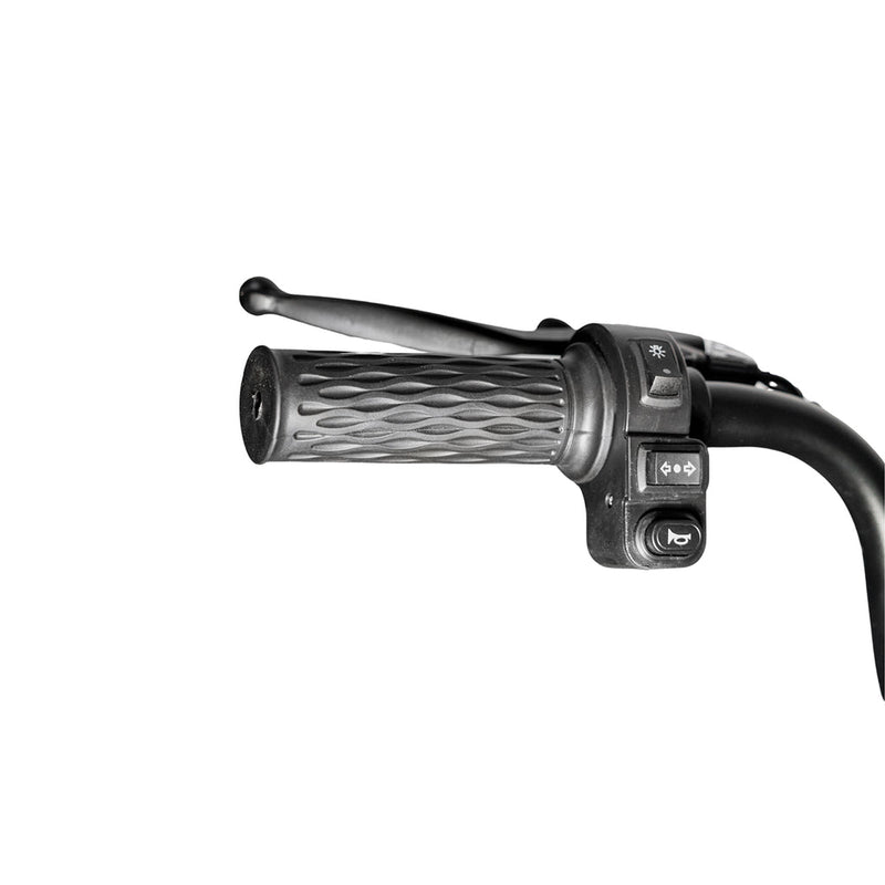 X3B motorcycle electric bike 350W 48V electric motorcycle Electric Bicycles 3 wheel motorcycle