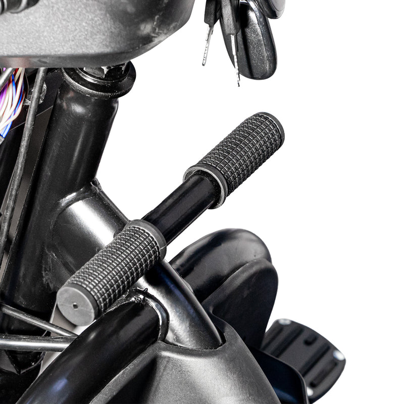 CRONY X3B motorcycle electric bike 350W 48V Electric Motorcycle Electric Bicycles 3 wheel motorcycle