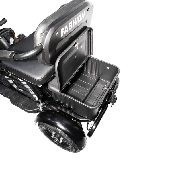 X3B motorcycle electric bike 350W 48V electric motorcycle Electric Bicycles 3 wheel motorcycle