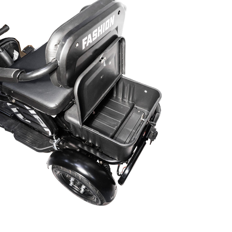 X3B motorcycle electric bike 350W 48V electric motorcycle Electric Bicycles 3 wheel motorcycle