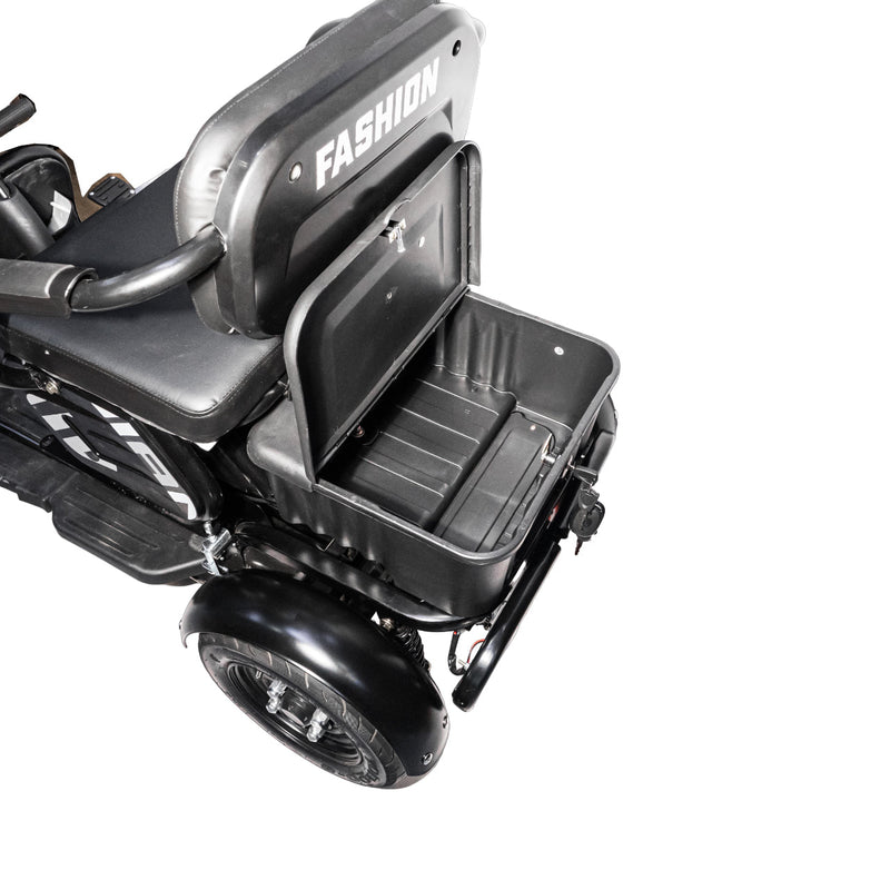 CRONY X3B motorcycle electric bike 350W 48V Electric Motorcycle Electric Bicycles 3 wheel motorcycle