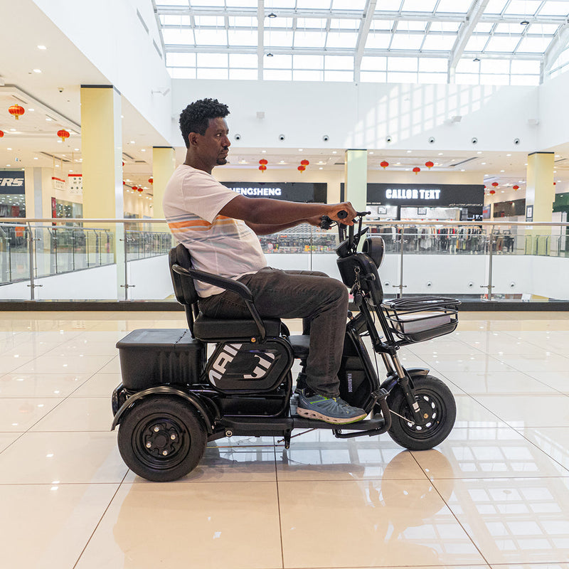 X3B motorcycle electric bike 350W 48V electric motorcycle Electric Bicycles 3 wheel motorcycle