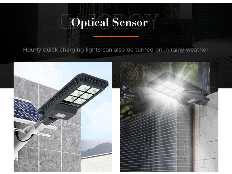 T06-6 Solar induction street lamp