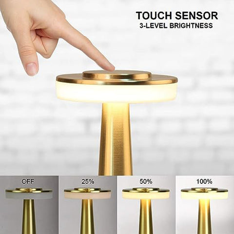 Flat Table Lamp (Rose Gold) Three color dimming