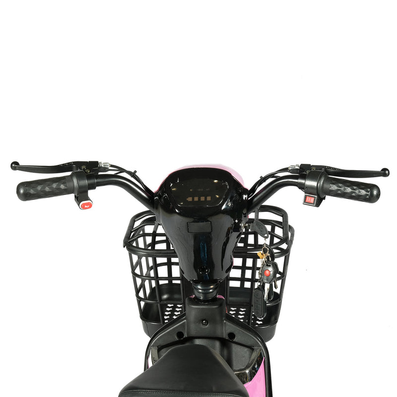 W3 motorcycle electric bike 350W 48V electric motorcycle Electric Bicycles