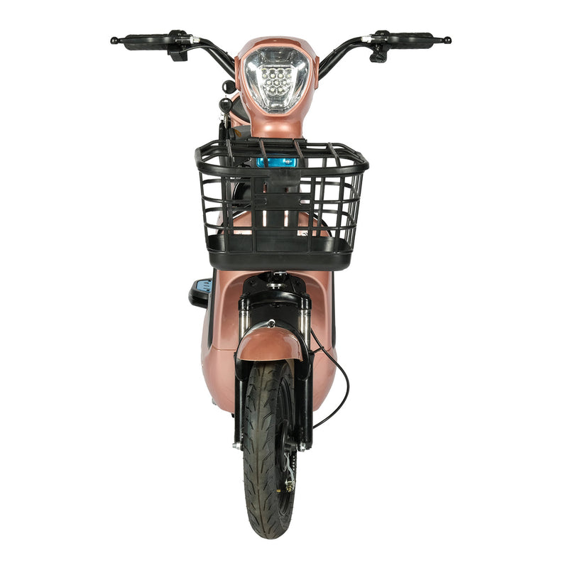 W3 motorcycle electric bike 350W 48V electric motorcycle Electric Bicycles