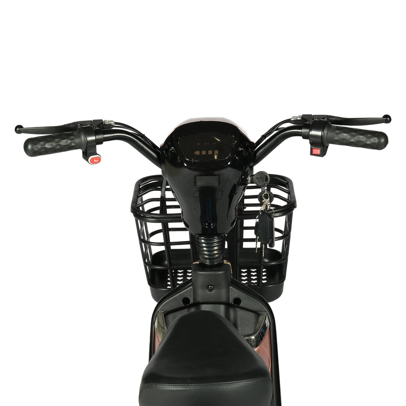CRONY W3 motorcycle electric bike 350W 48V electric motorcycle Electric Bicycles