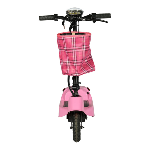 W5 motorcycle electric bike 180W 25V electric motorcycle Electric Bicycles