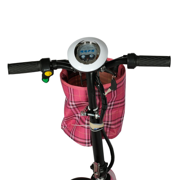 CRONY W5 motorcycle electric bike 180W 25V electric motorcycle Electric Bicycles