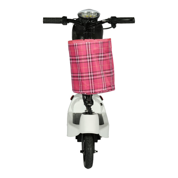 W5 motorcycle electric bike 180W 25V electric motorcycle Electric Bicycles