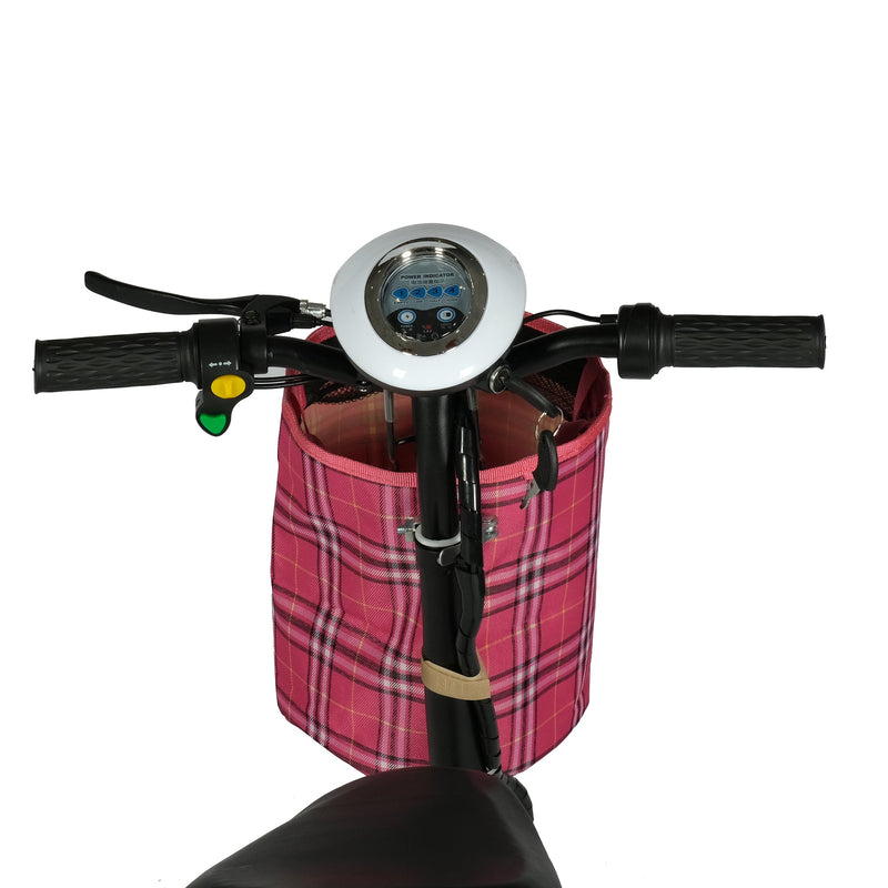 CRONY W5 motorcycle electric bike 180W 25V electric motorcycle Electric Bicycles
