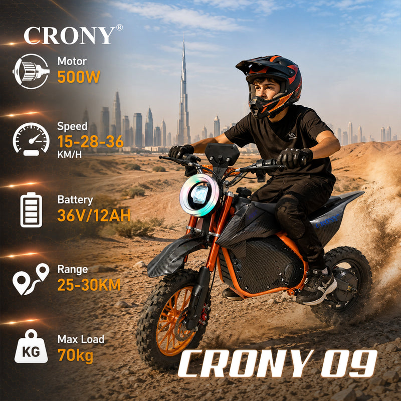 CRONY-09 Electric Dirt Bike 350W Motor, 36V 12Ah Battery, 14 Inch Off-Road Tires, Up to 36KM/H Speed, LCD Display, LED Headlight, Bluetooth Speaker, Electric Motorcycle for Outdoor Riding, Durable Design, 1 Year Motor Warranty