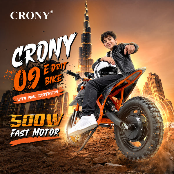 CRONY-09 Electric Dirt Bike 350W Motor, 36V 12Ah Battery, 14 Inch Off-Road Tires, Up to 36KM/H Speed, LCD Display, LED Headlight, Bluetooth Speaker, Electric Motorcycle for Outdoor Riding, Durable Design, 1 Year Motor Warranty