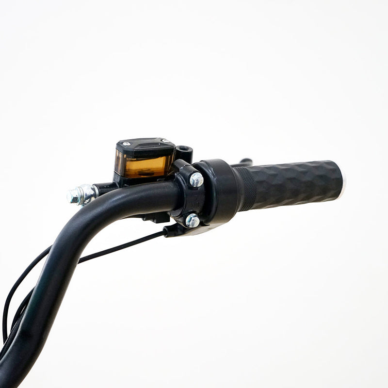 CRONY NEW TAKE-OUT ELECTRIC BICYCLE 500W Motor 60V 20AH Battery 40-70KM Range Disc Brake