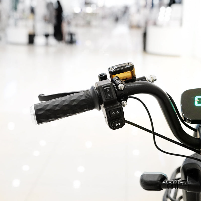 CRONY NEW TAKE-OUT ELECTRIC BICYCLE 500W Motor 60V 20AH Battery 40-70KM Range Disc Brake