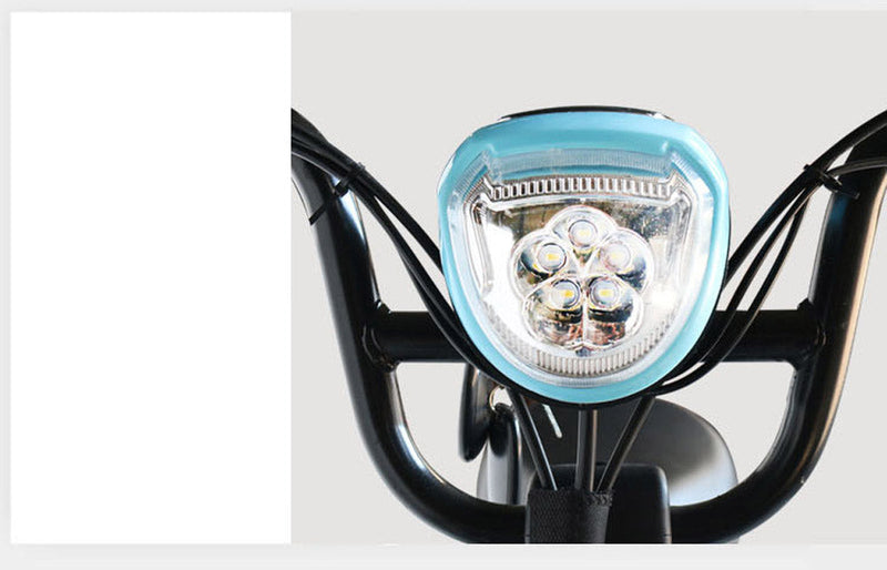 CRONY W4 motorcycle electric bike 350W 48V electric motorcycle Electric Bicycles