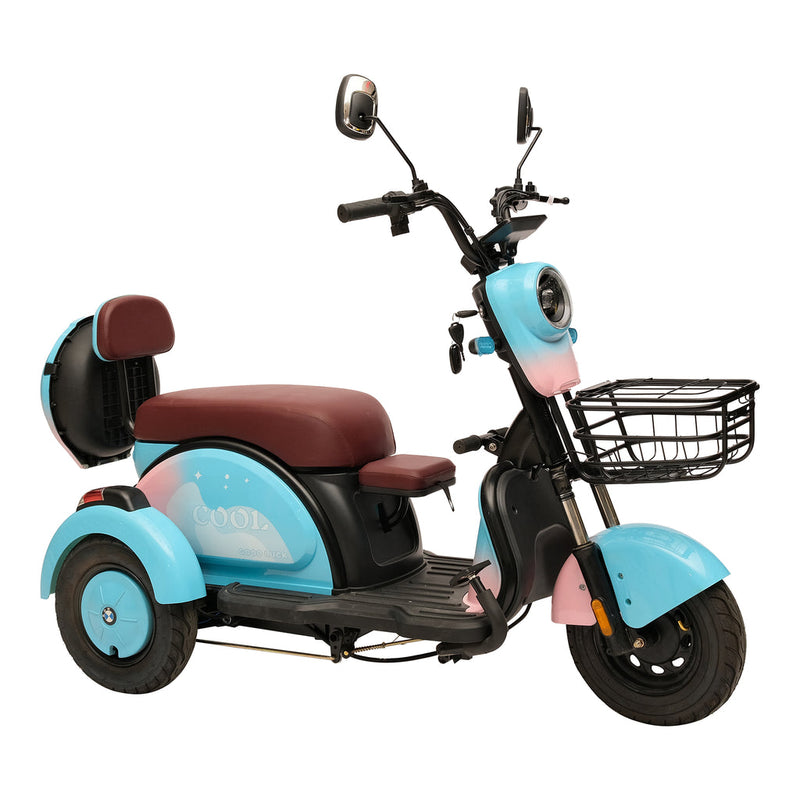 X3B motorcycle electric bike 350W 48V electric motorcycle Electric Bicycles 3 wheel motorcycle