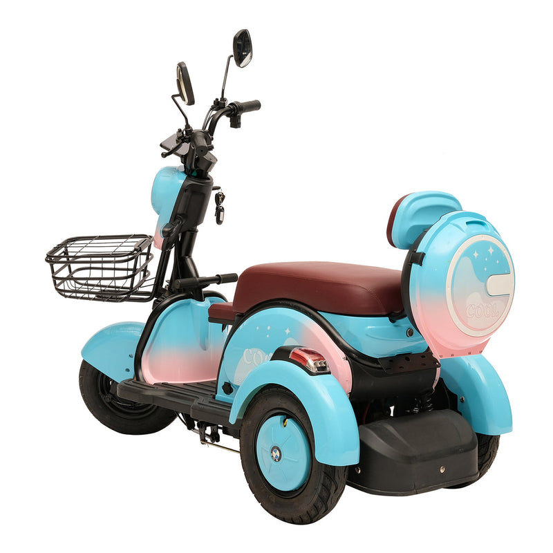 X3B motorcycle electric bike 350W 48V electric motorcycle Electric Bicycles 3 wheel motorcycle