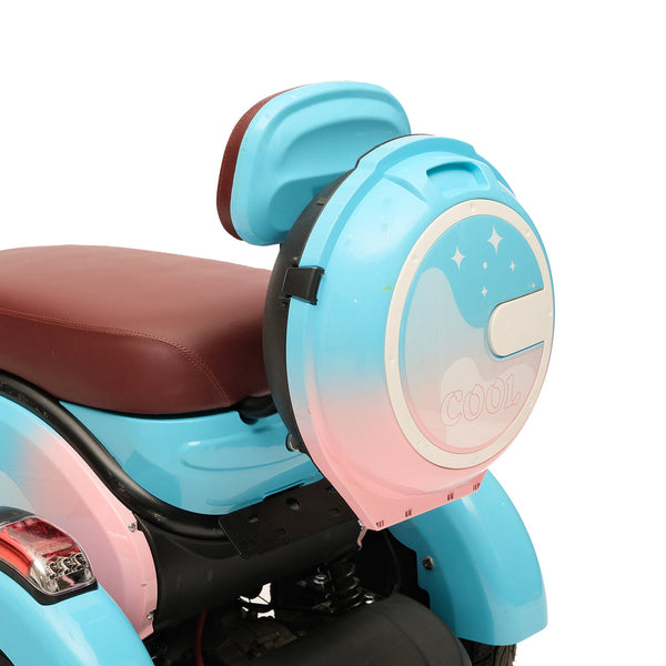 X3B motorcycle electric bike 350W 48V electric motorcycle Electric Bicycles 3 wheel motorcycle