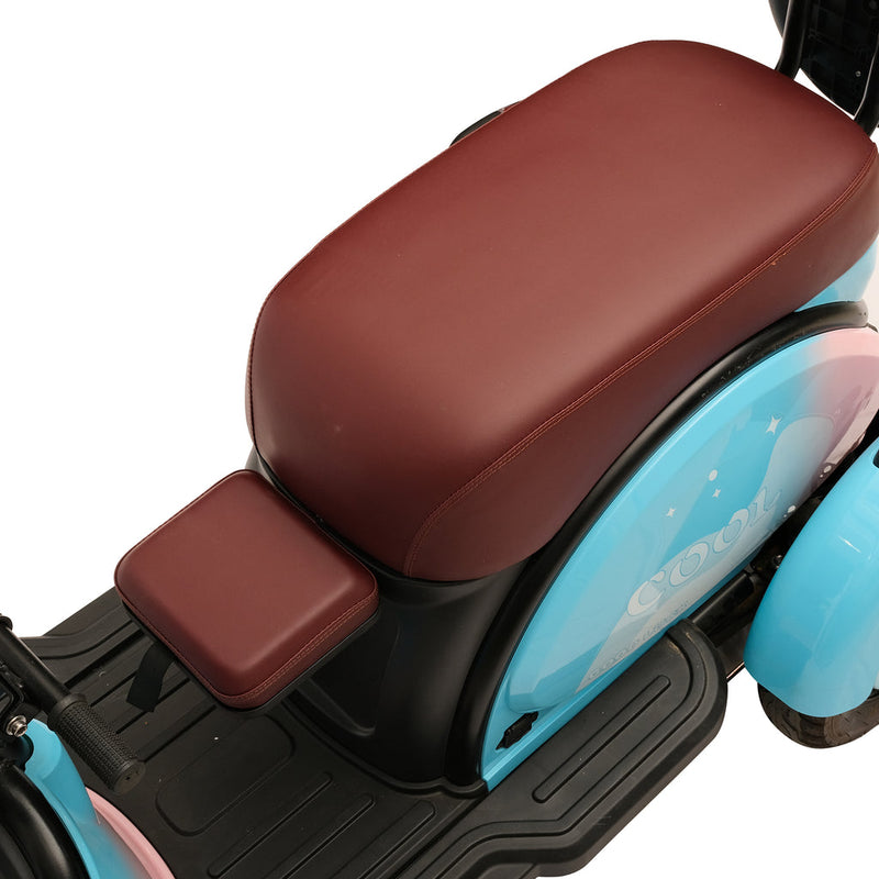 X3B motorcycle electric bike 350W 48V electric motorcycle Electric Bicycles 3 wheel motorcycle