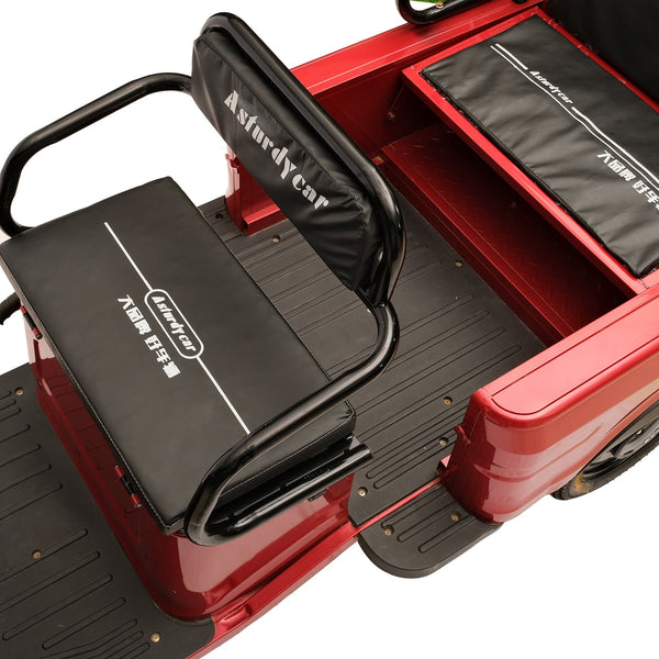 CRONY X1A X1B Heavy 3 Wheeler Electronic Big Truck 1200W Electric Motorcycle Electric Bicycles