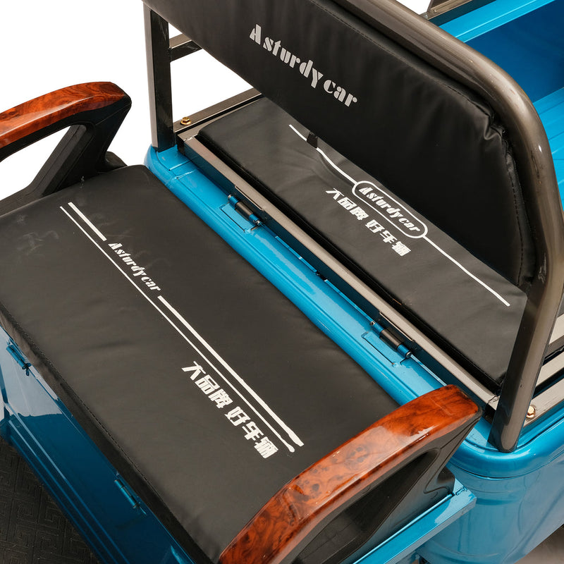 X2A X2B X2C Heavy 3 Wheeler Electronic Big Truck 500W Electric Bicycles