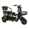 X3B motorcycle electric bike 350W 48V electric motorcycle Electric Bicycles 3 wheel motorcycle
