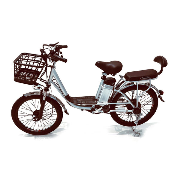 CRONY 22 Inch Ilan Princess Electric Car 350w 48v mid drive city electric bike removable lithium battery bicycle - Edragonmall.com