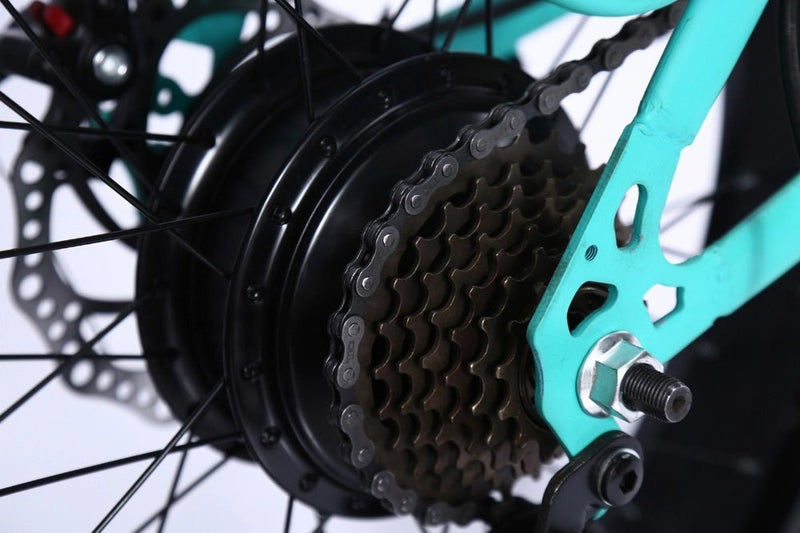 CRONY 22 inch sand electric vehicle Outdoor desert riding electric bicycle | Black - Edragonmall.com