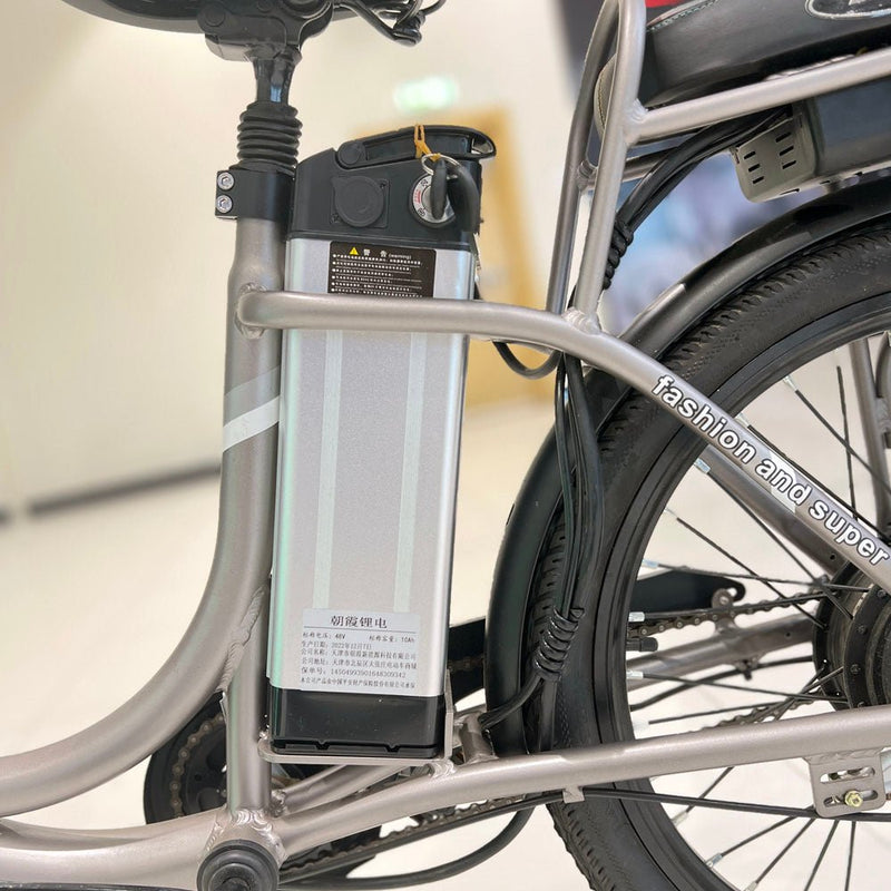 CRONY 22inch The fire spirit bird Electric bicycle E-BIKE bike - Edragonmall.com