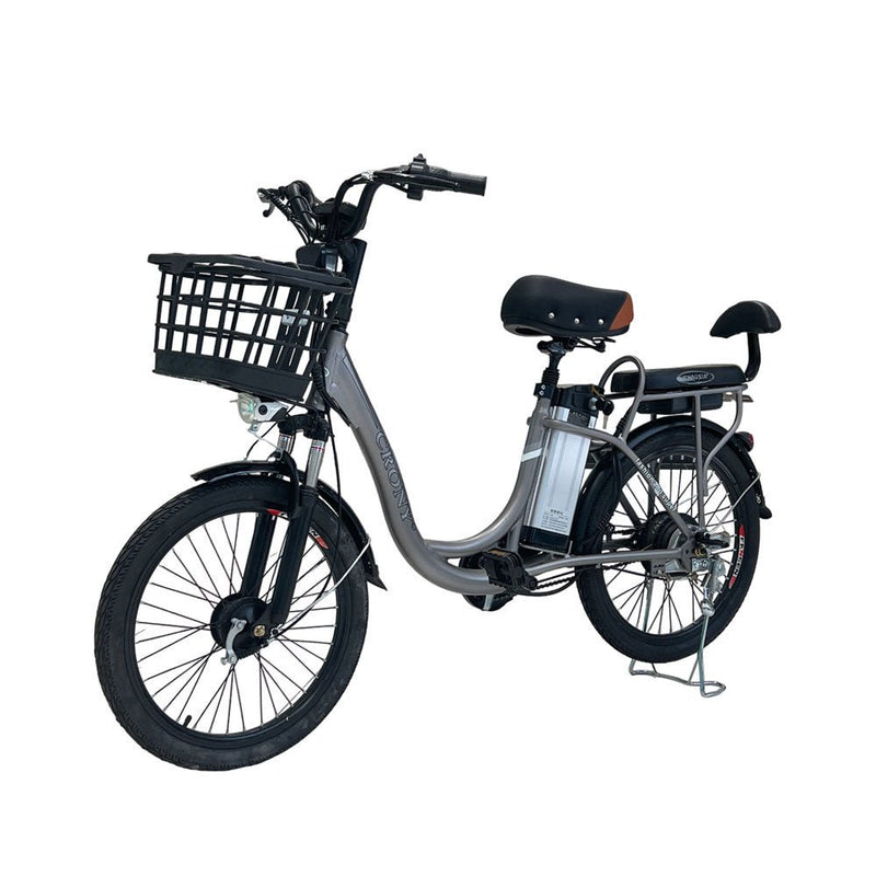CRONY 22inch The fire spirit bird Electric bicycle E-BIKE bike - Edragonmall.com