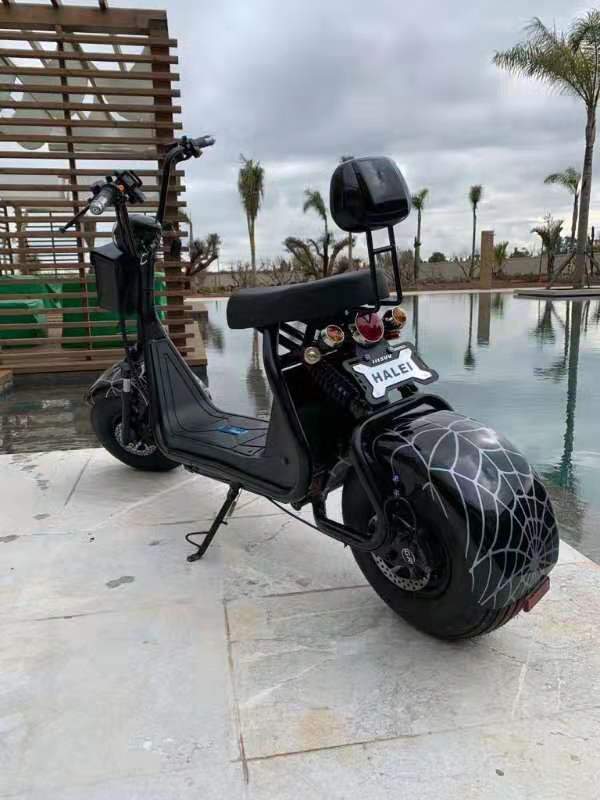 CRONY Big Harley BTSpeaker tyre Double Seat 2 wheel Electric motorcycle | Orange - Edragonmall.com
