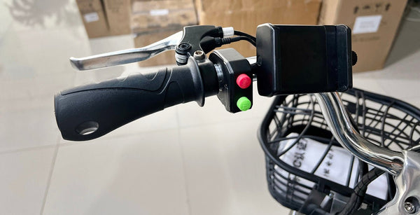 CRONY Elf food truck Express Delivery bike 48V 350W Carbon Steel high quality single speed electrical bicycle - Edragonmall.com