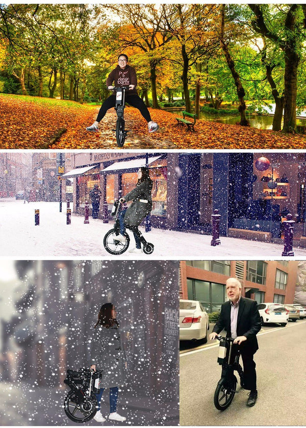CRONY Mini-Q Fold Electric Bike 36V 250W Portable Electric motorcycle - Edragonmall.com