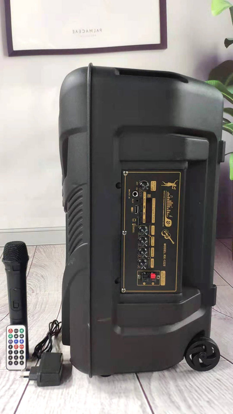 CRONY RX-1225B Portable party speaker 12 inch bull LED portable speaker - Edragonmall.com