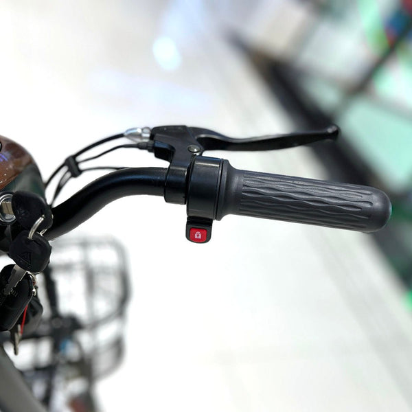 CRONY T8 Electric Delivery express Bicycle electrical scooter 12 inch 48v 10Ah electric bike - Edragonmall.com