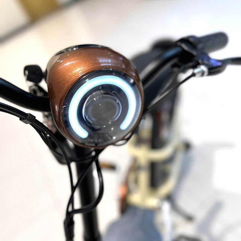 CRONY T8 Electric Delivery express Bicycle electrical scooter 12 inch 48v 10Ah electric bike - Edragonmall.com