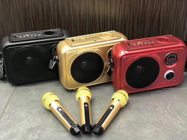 SDRD Sd-501 Home Speaker Microphone Integrated Single Sing Mobile Phone Karaoke | Gold - Edragonmall.com