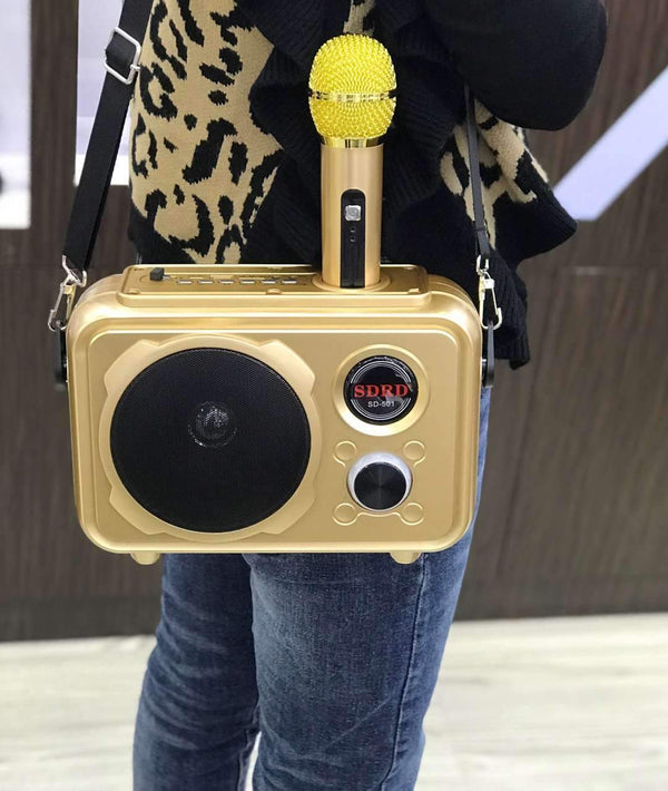 SDRD Sd-501 Home Speaker Microphone Integrated Single Sing Mobile Phone Karaoke | Gold - Edragonmall.com