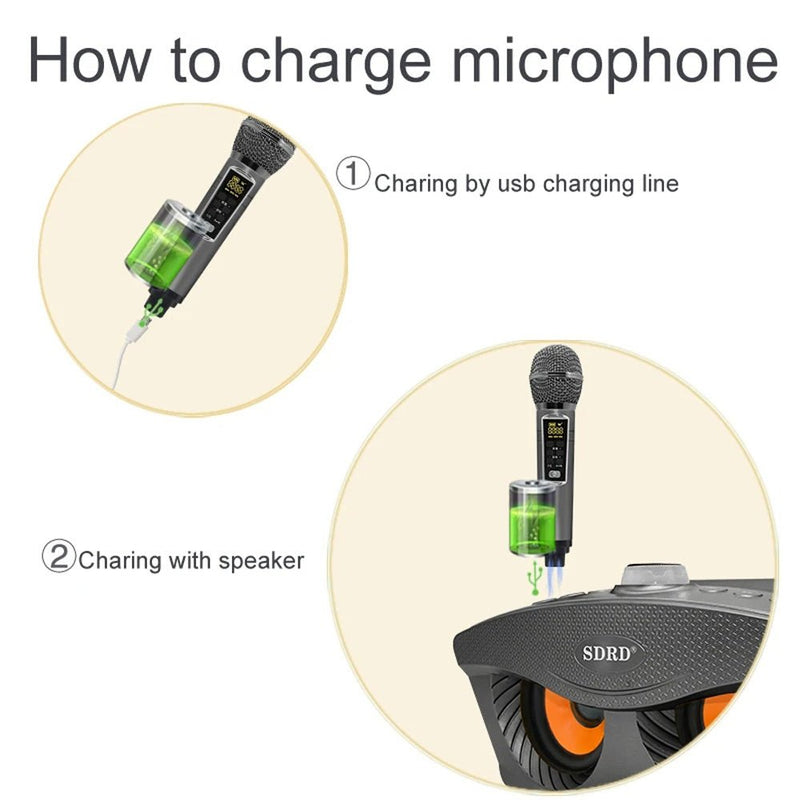 SDRD SD306 Plus 30W Karaoke Player Dual bluetooth 4.2 Speaker Family KTV Stereo Mic Big Sound Speaker with 2 Wireless Microphones-Grey - Edragonmall.com