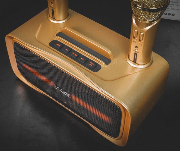 ST-2028 BT Speaker Comes with 2 wireless microphones Full Bluetooth, USB, AUX, TF card connectivity - Edragonmall.com