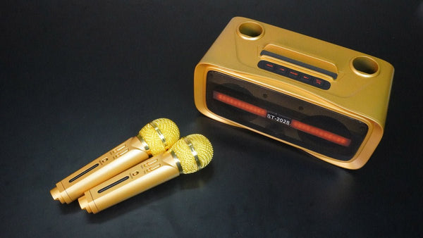 ST-2028 BT Speaker Comes with 2 wireless microphones Full Bluetooth, USB, AUX, TF card connectivity - Edragonmall.com