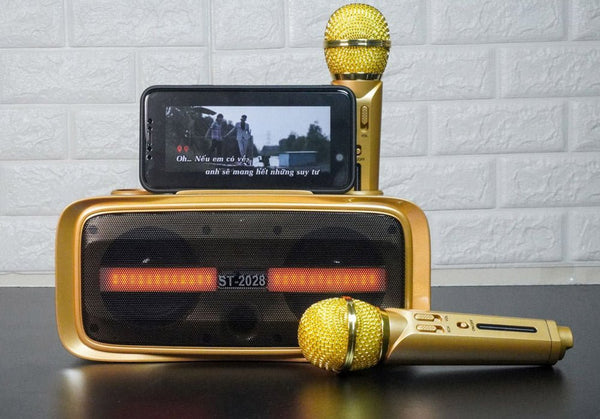 ST-2028 BT Speaker Comes with 2 wireless microphones Full Bluetooth, USB, AUX, TF card connectivity - Edragonmall.com