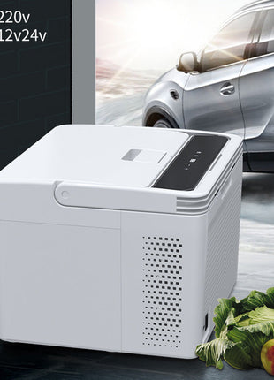 CRONY Car Refrigerator 10L Cold and Hot C10/DC/AC car cooler portable compressor small refrigerator