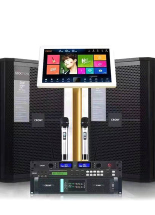 CRONY 350W KTV System 12 inch professional audio set