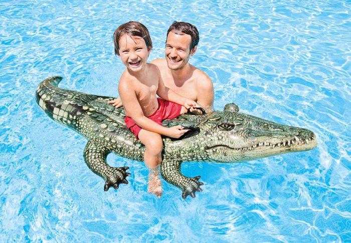 Realistic Gator -12 Tricky toys Intex Realistic Gator Ride-one, Age 3+ Multi-color 6x67x34 inches