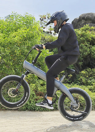 CRONY Q3 Off-road fat tire 48V/750W aluminum alloy E-bike 20 inch fat tire off road bicy Scootercle electric bike Scooter