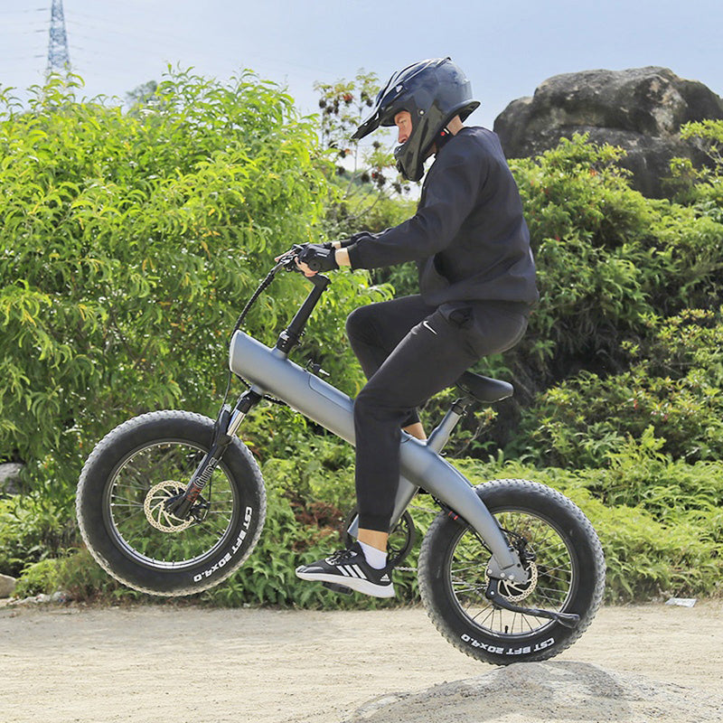 CRONY Q3 Off-road fat tire 48V/750W aluminum alloy E-bike 20 inch fat tire off road bicy Scootercle electric bike Scooter