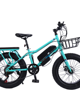 CRONY 22 inch sand electric vehicle Outdoor desert riding electric bicycle | Green